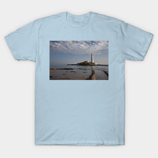 Springtime at St Mary's Island T-Shirt by Violaman